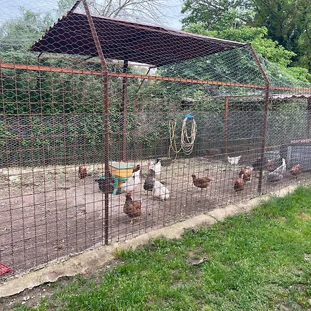 Farm stay Fattoria Raffaelli Colle Farnese