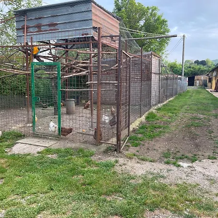 Fattoria Raffaelli Colle Farnese